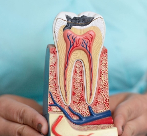 Elimina el dolor dental salvando tus piezas naturales con tratamientos de conducto precisos y sin molestias. Tu bienestar es nuestra prioridad....